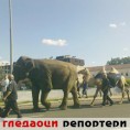 Гледаоци репортери (08. 07. 2009)