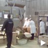 Успешни као да нема кризе