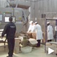 Успешни као да нема кризе