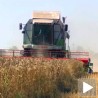 Пољопривреда без стратегије