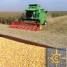 Суфицит Србије у размени са ЦЕФТОМ 