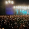 „Егзит” поново у трци за „нај-фестивал”