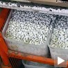 Кинески пасуљ на српским трпезама