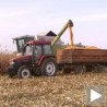 Ратарима "кратки рукави" 