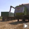 Аграр најуспешнији извозник