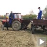 Сејаћу, па колико роди