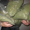 Спречен покушај кријумчарења марихуане