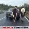 Гледаоци репортери (6.11.2009)