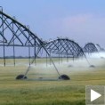 Српске њиве без воде