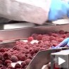 Извоз без субвенција