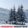 Гледаоци репортери (16.12.2009)