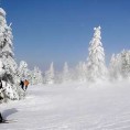 Златибор домаћин "Балкан купа" у скијашком трчању