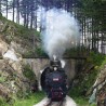 "Ћира" вози Шарганском осмицом