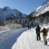 Претрага туристичких агенција без лиценци