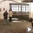Стечај, заштита од проблема