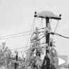 ЕПС апелује на смањење потрошње струје