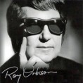 Звезда Роја Орбисона на Стази славних 