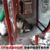 Гледаоци репортери (19.2.2010)