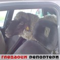Гледаоци репортери (4.3.2010)