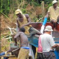 Трагедија у руднику у Сијера Леонеу