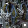 Продата "Застава електро" из Раче