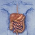 Здравствени водич: Болести органа за варење