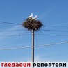Гледаоци репортери (13.4.2010)