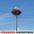 Гледаоци репортери (13.4.2010)