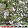 Гледаоци репортери (22.4.2010)