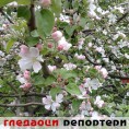Гледаоци репортери (22.4.2010)
