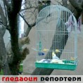 Гледаоци репортери (1.5.2010)