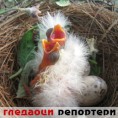 Гледаоци репортери (6.5.2010)