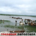 Гледаоци репортери (28.5.2010)