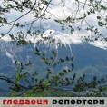 Гледаоци репортери (27.6.2010)