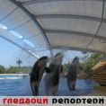 Гледаоци репортери (29.6.2010)