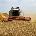 Почео откуп пшенице