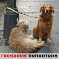 Гледаоци репортери (17.7.2010)