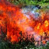 Пожари на Криту и Халкидикију