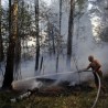 И даље гори 53.000 хектара шума