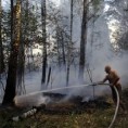 И даље гори 53.000 хектара шума