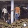 Одрон затрпао школу у Индији