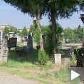 Масовна гробница у Крагујевцу