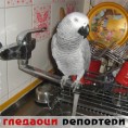 Гледаоци репортери (23.8.2010)