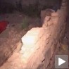 Земљотрес на северу Ирана