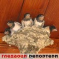 Гледаоци репортери (30.8.2010) 