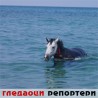 Гледаоци репортери (24.9.2010)