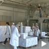 Чачанска чипсара пред стечајем