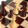 Добар резултат шахиста