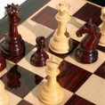 Добар резултат шахиста