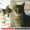 Гледаоци репортери (27.10.2010)